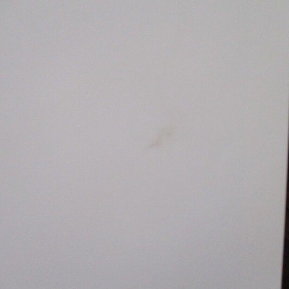 Male of the Species ARTHUR TRESS 4 Decades of Photography 1999 SIGNED RARE - Picture 7 of 12